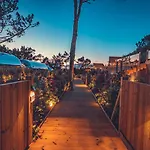 Charm Nature